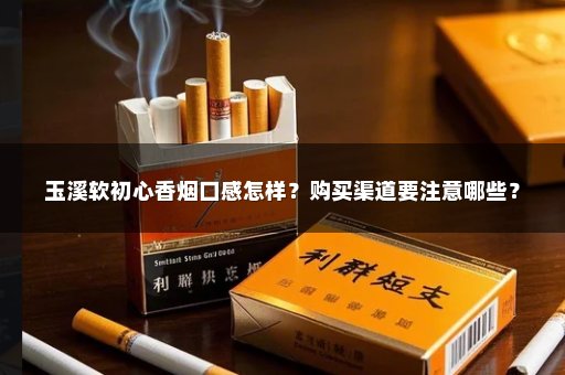玉溪软初心香烟口感怎样？购买渠道要注意哪些？