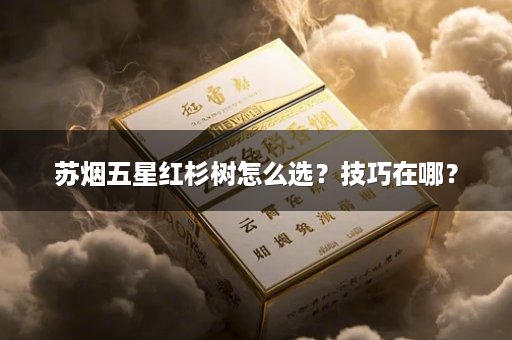 苏烟五星红杉树怎么选？技巧在哪？